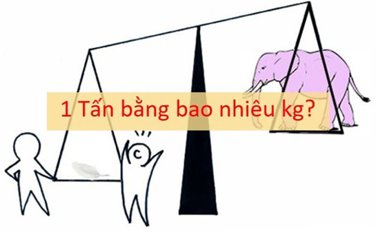 12 tấn bằng bao nhiêu kilogram và công cụ đổi đơn vị trọng lượng dễ dàng