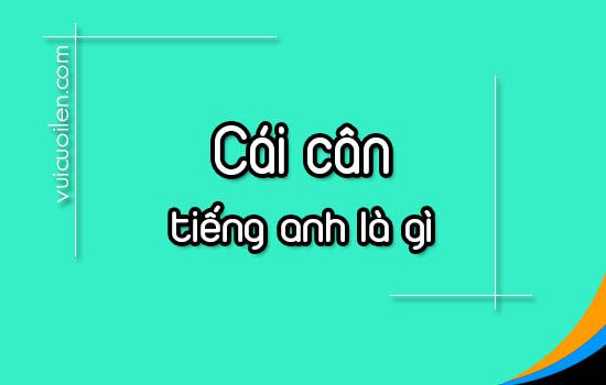 Cân bằng tiếng Anh là gì?